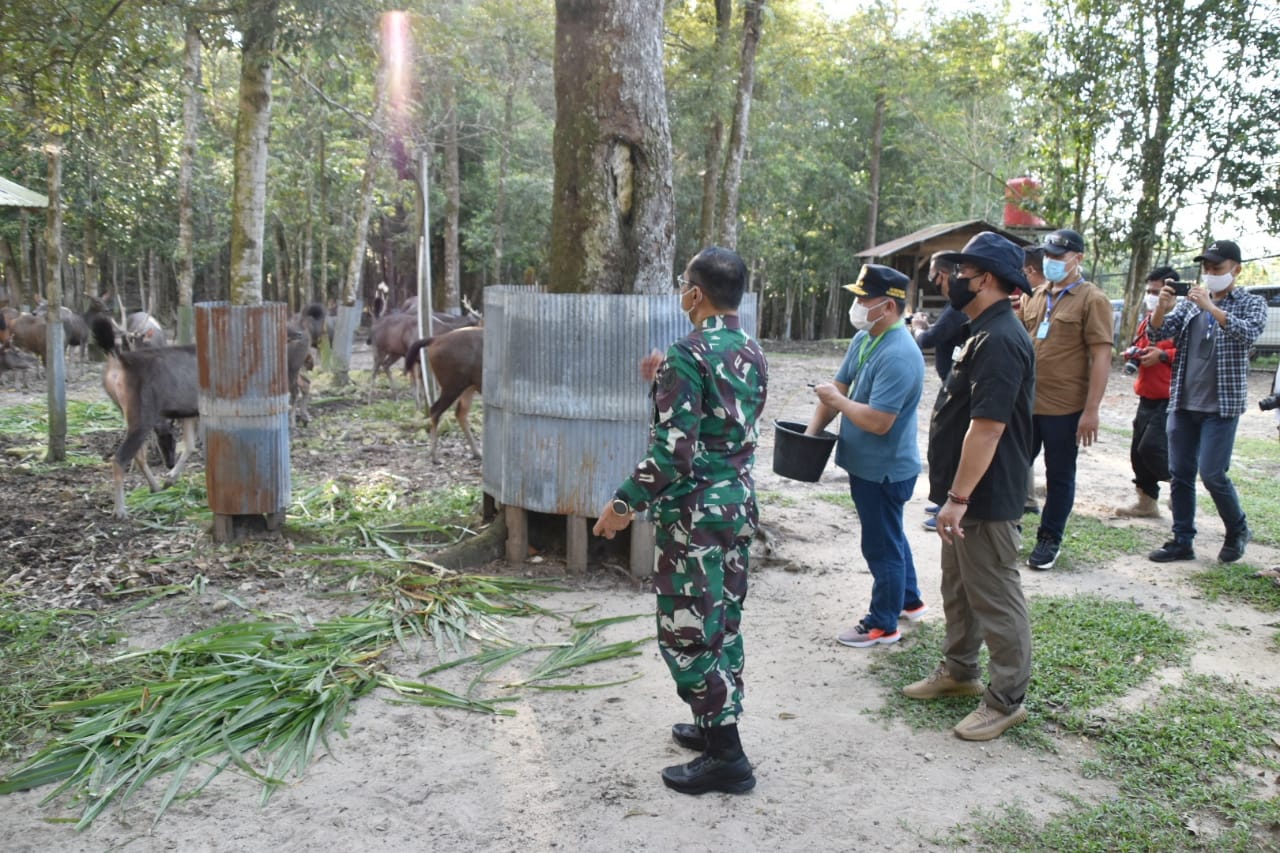 Dukung Program Pelestarian Satwa Yang Dilindungi, Gubernur Kalteng kunjungi  Penangkaran Rusa di PT. Sulung Ranch Kab. Kobar