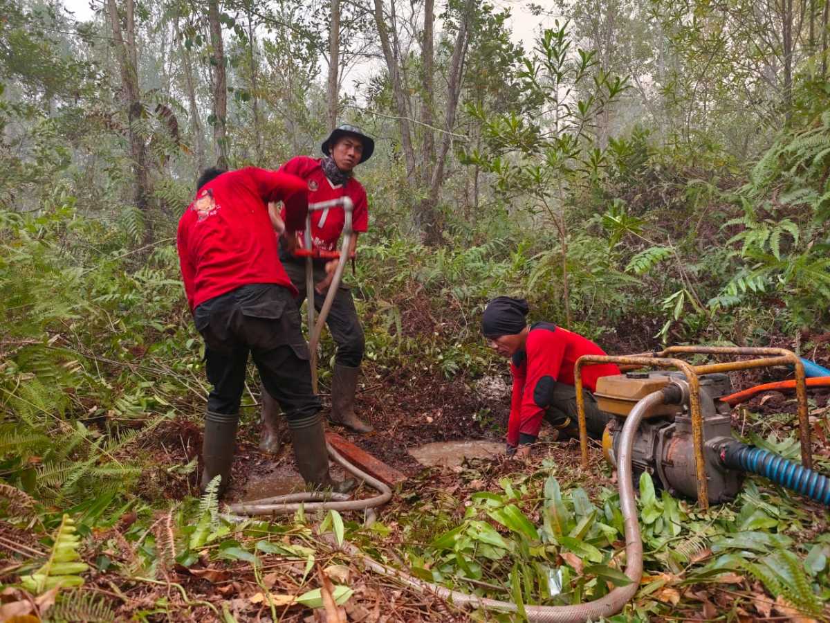 Respon Cepat Karhutla Kalteng: Tim Gabungan Tangani 64 Kejadian dan Padamkan 35,11 Hektare Lahan