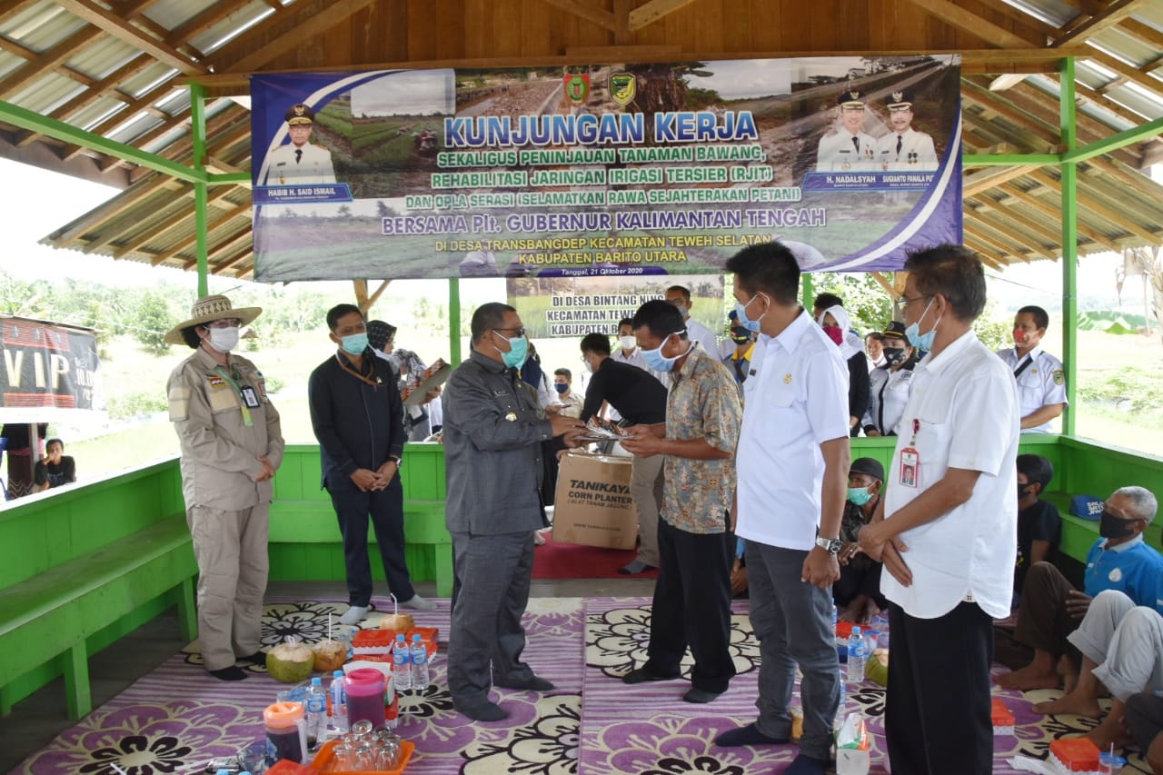 Kunjungi Pengembangan Tanaman Bawang Merah di Desa Trahean, Habib Ismail Bin Yahya :  Kabupaten Barito Utara Bisa Menjadi Sumber Produksi Bawang Merah di Kalteng