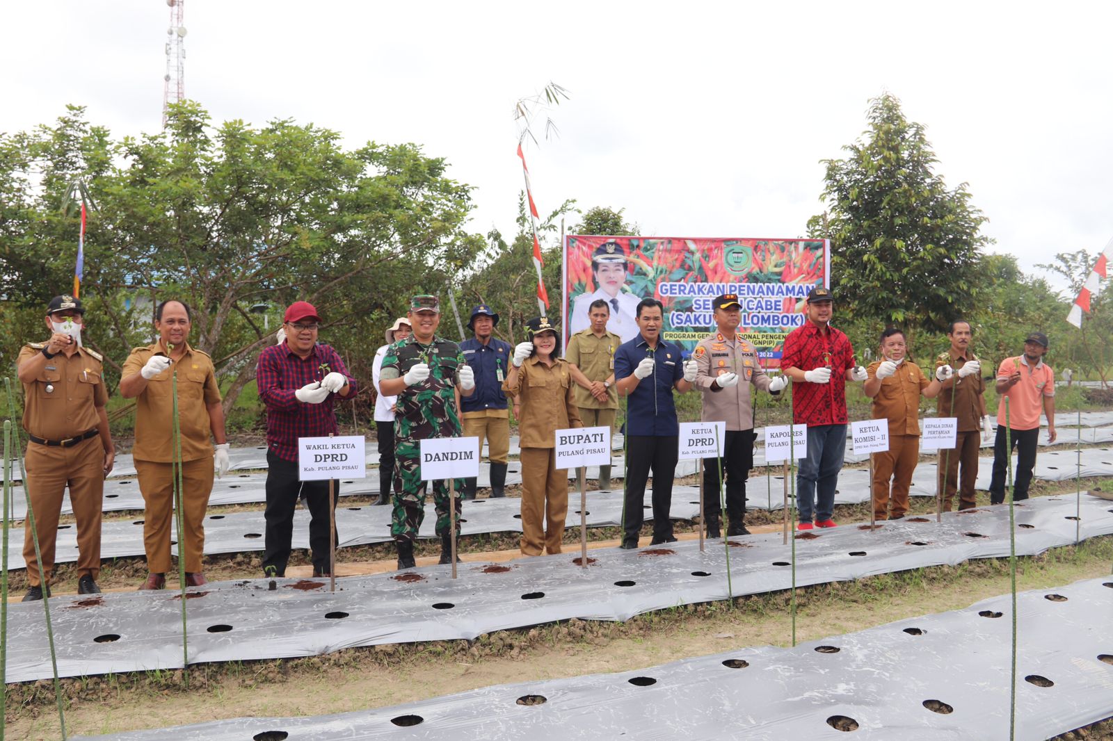 Bupati Pulang Pisau Hadiri Kegiatan Penanaman Seribu Cabe