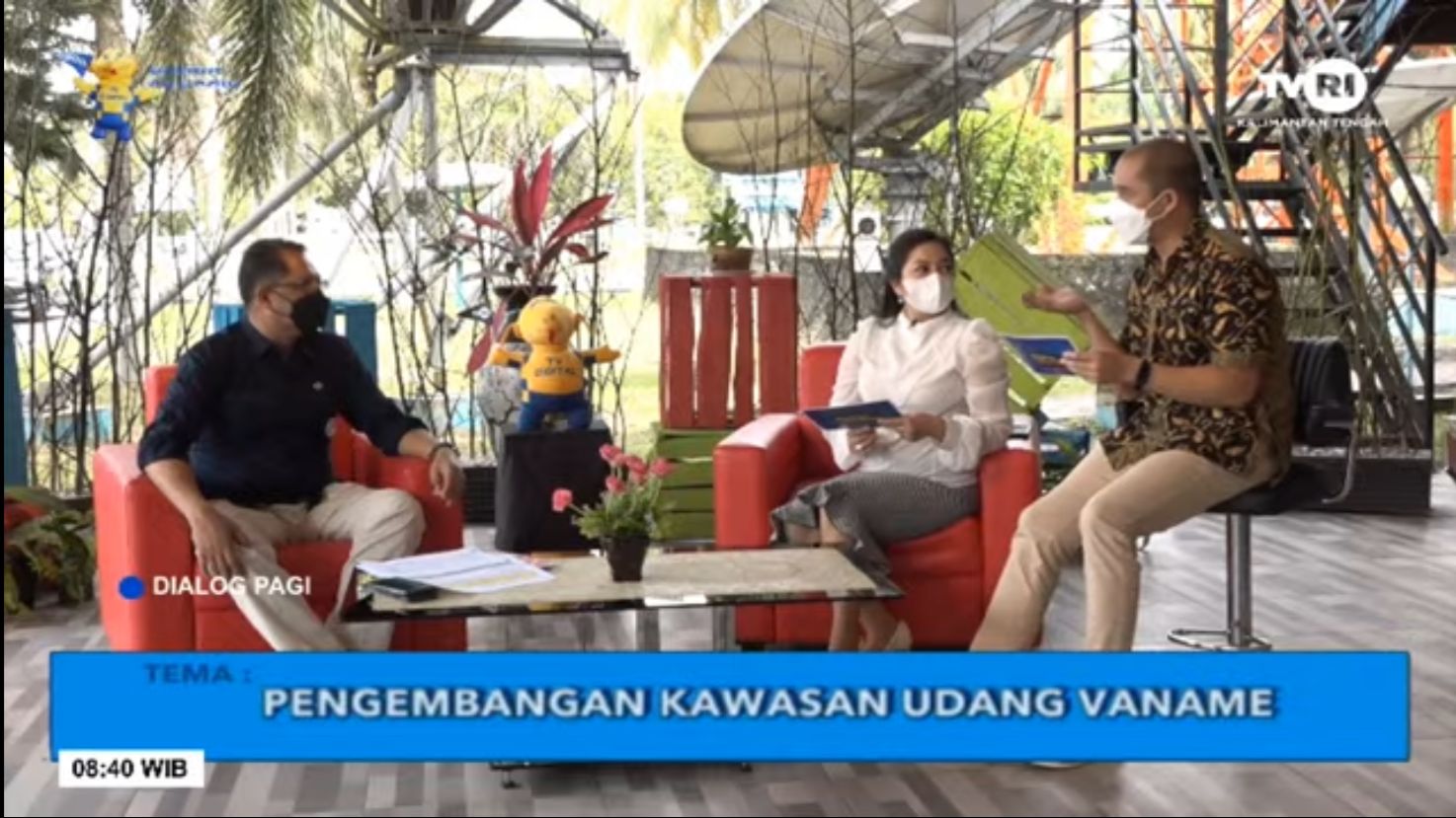 Pengembangan Kawasan Udang Vaname dalam Dialog Pagi TVRI bersama Kadislutkan Prov. Kalteng