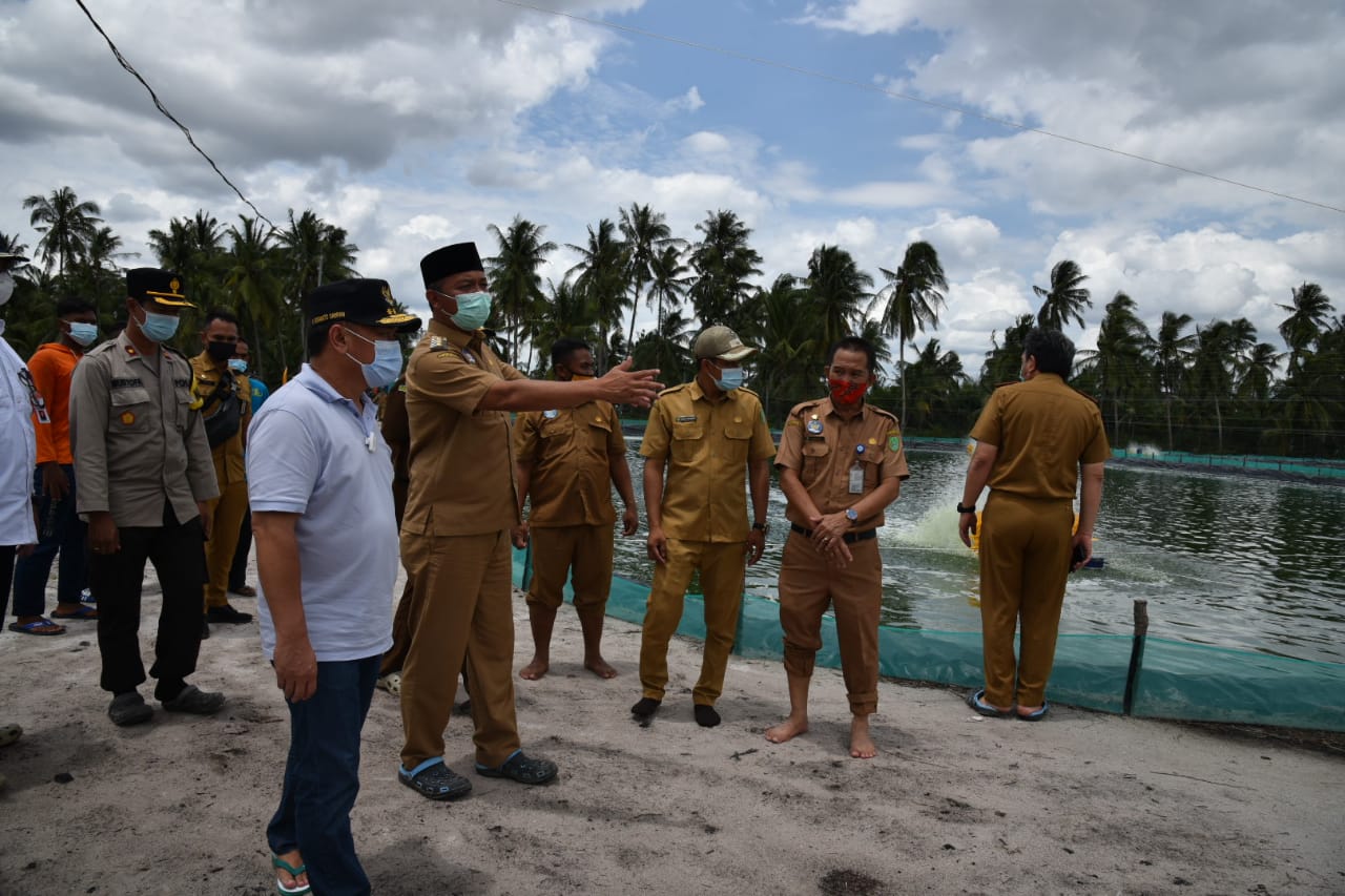 Gubernur Kalteng Lakukan Peninjauan Tambak Udang di Sukamara