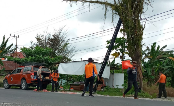 Antisipasi Keselamatan Warga, TRC BPBD Eksekusi Pohon Lapuk