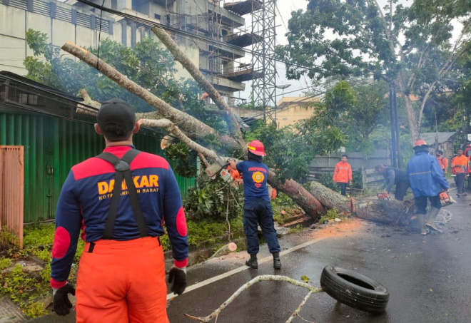 Dibantu BPBD dan Instansi Terkait, Personel Damkar Kobar Evakuasi Pohon Tumbang di Dua Lokasi