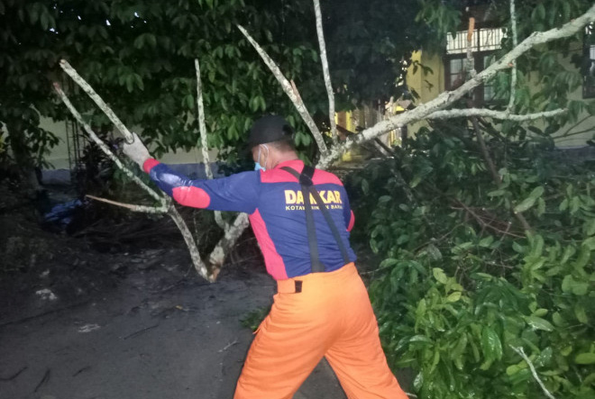 Dibantu BPBD dan Instansi Terkait, Personel Damkar Kobar Evakuasi Pohon Tumbang di Dua Lokasi