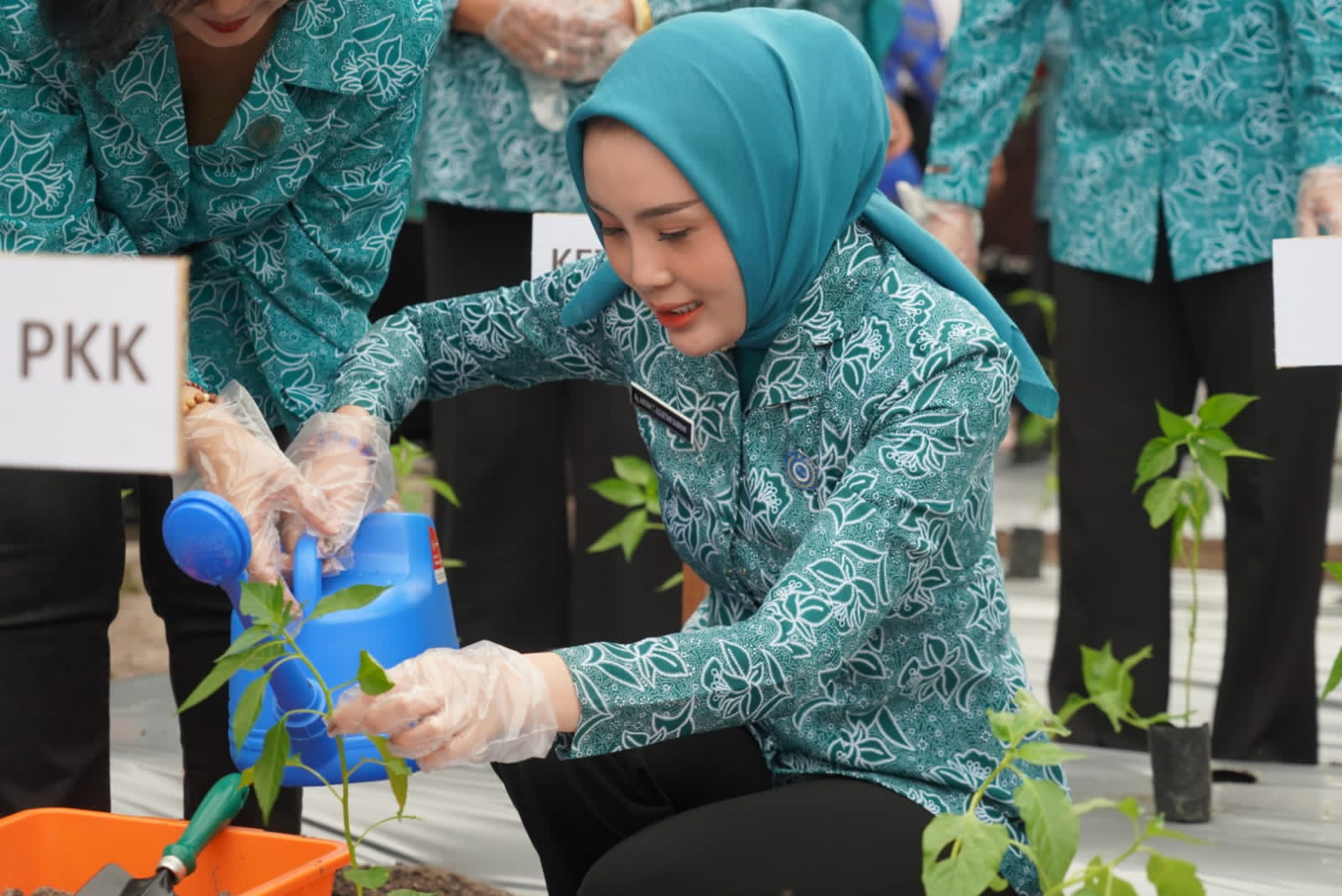 HKG PKK ke-53, TP PKK Kalteng Adakan Kegiatan Pemanfaatan Pekarangan Melalui Aku Hatinya PKK