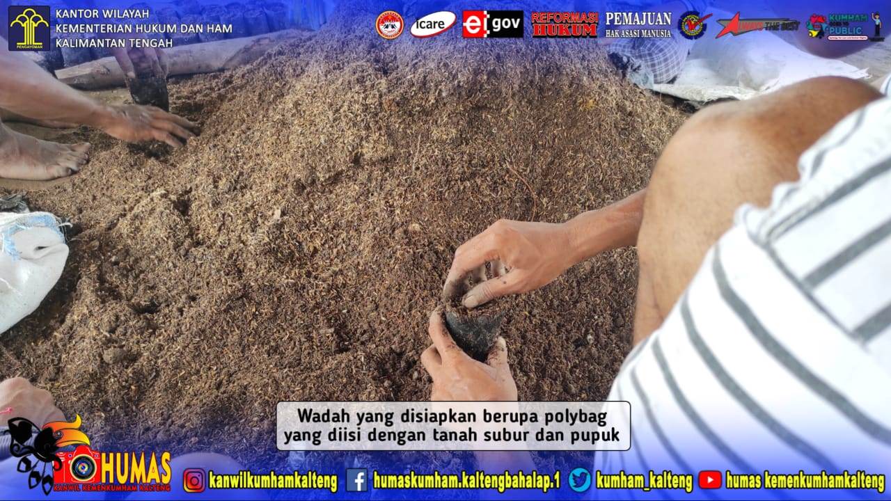 Jelang Penanaman Jagung, Warga Binaan Siapkan 400 Wadah Semai Bibit