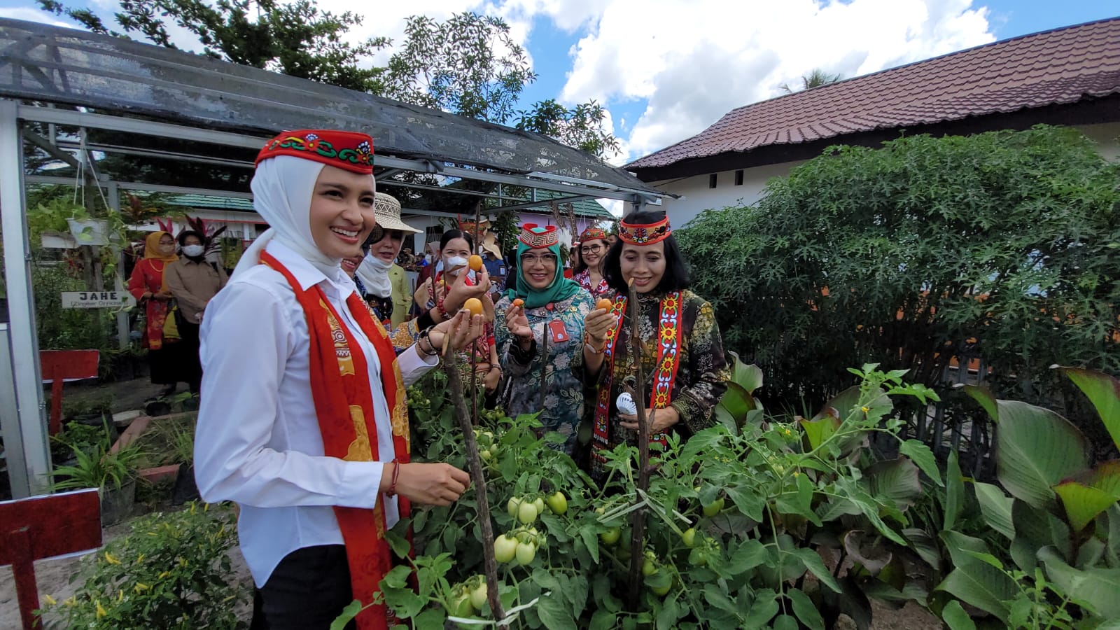 Optimalkan Lahan Pekarangan, Dinas TPHP Prov. Kalteng Lakukan Pendampingan Kebun TOGA PKK di Kab. Pulang Pisau