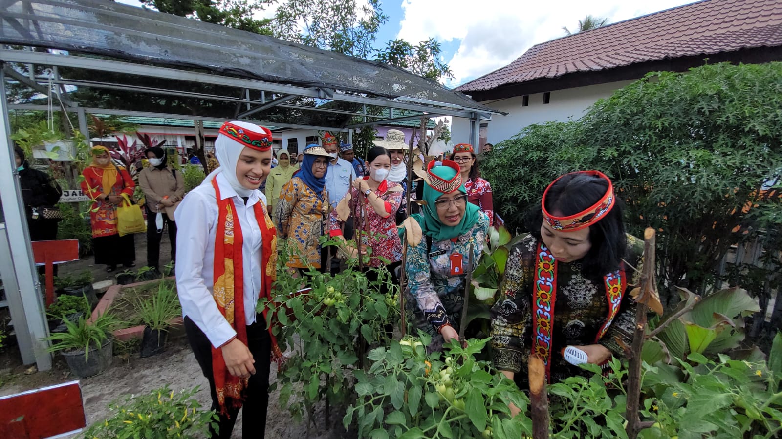 Optimalkan Lahan Pekarangan, Dinas TPHP Prov. Kalteng Lakukan Pendampingan Kebun TOGA PKK di Kab. Pulang Pisau