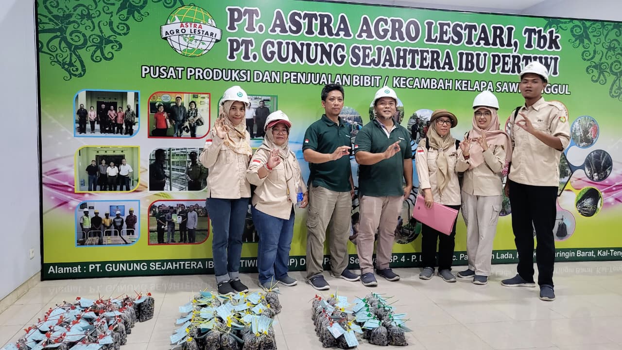 Pastikan Kualitas Benih Kelapa Sawit Kalteng Terjaga, Tim BP3B Laksanakan Evaluasi Kelayakan Kebun Sumber Benih Milik PT. Gunung Sejahtera Ibu Pertiwi