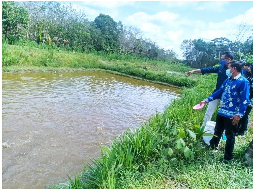 Jalin Sinergi, Pemprov. dan Pemkab Pulpis Bangun Kampung Budidaya Ikan Papuyu