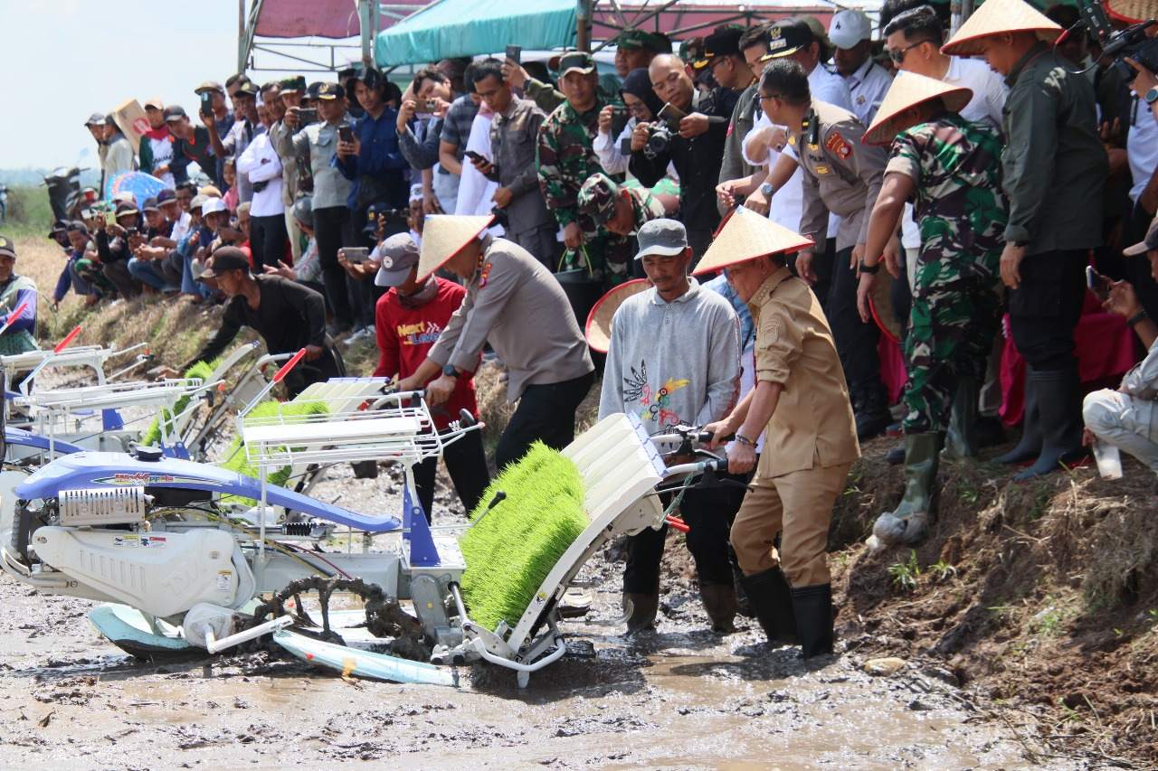 Dukung Swasembada Pangan, Kadis PMD Prov. Kalteng Turut Dampingi Gubernur pada Gerakan Tanam Padi Serentak