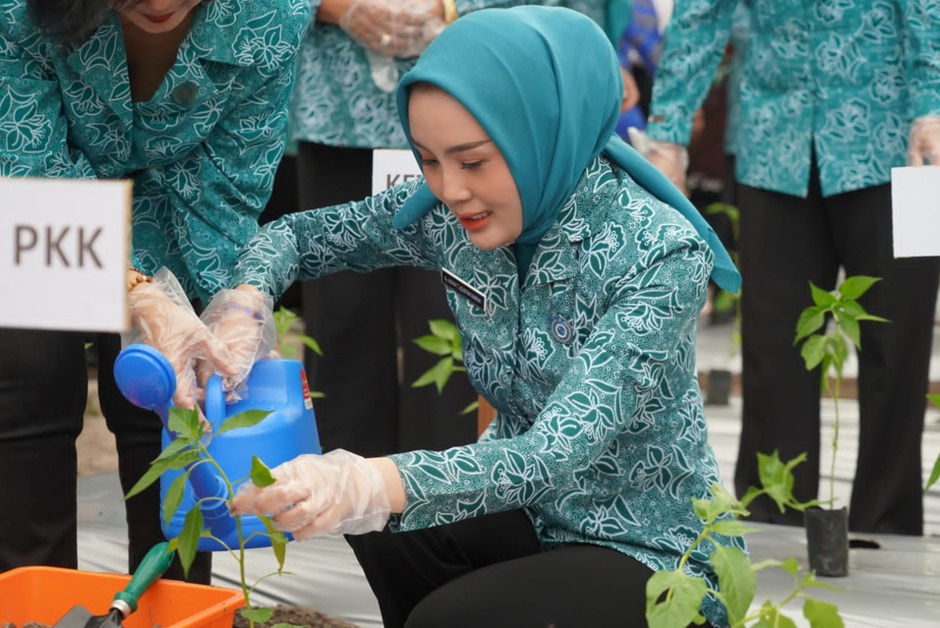 Dinas TPHP Prov. Kalteng Dukung Program Pemanfaatan Pekarangan PKK Melalui Penyediaan Bibit Cabai