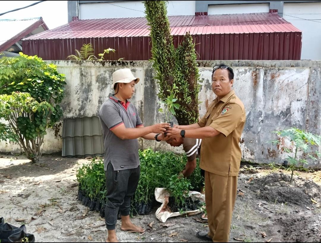 Dinas TPHP Prov. Kalteng Dukung Program Pemanfaatan Pekarangan PKK Melalui Penyediaan Bibit Cabai