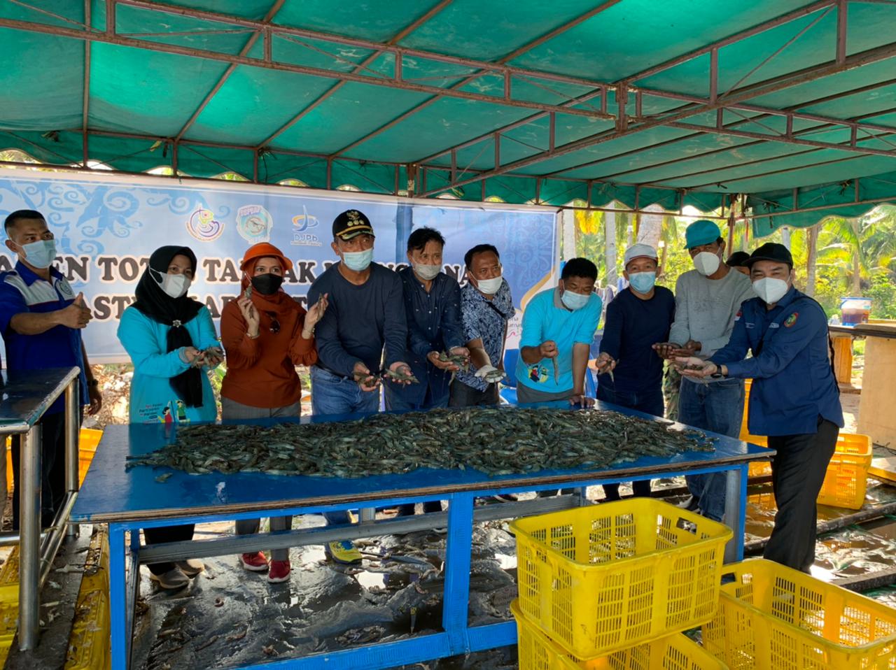 Melebihi Target! Panen Total Udang Vaname Sukamara Prov. Kalteng Capai 32 Ton