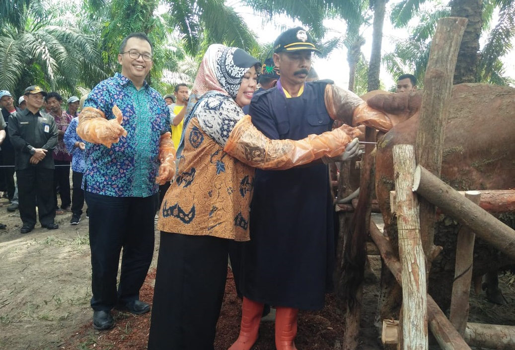 SLPR Upaya Pengembangan Peternakan