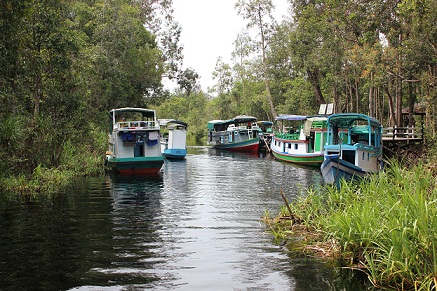 Geliatkan Pariwisata Lewat Festival Tanjung Puting
