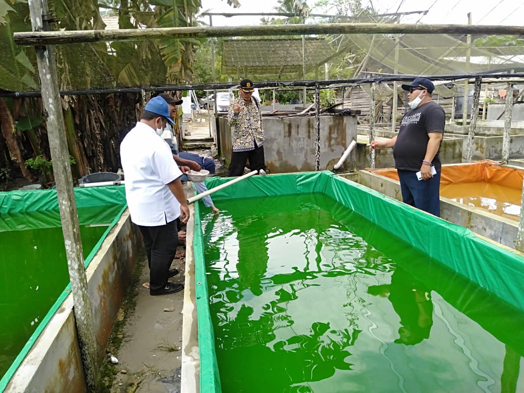 BBAT Mandiangin Verifikasi Calon Penerima Bantuan Sarpras Bioflok di Kobar