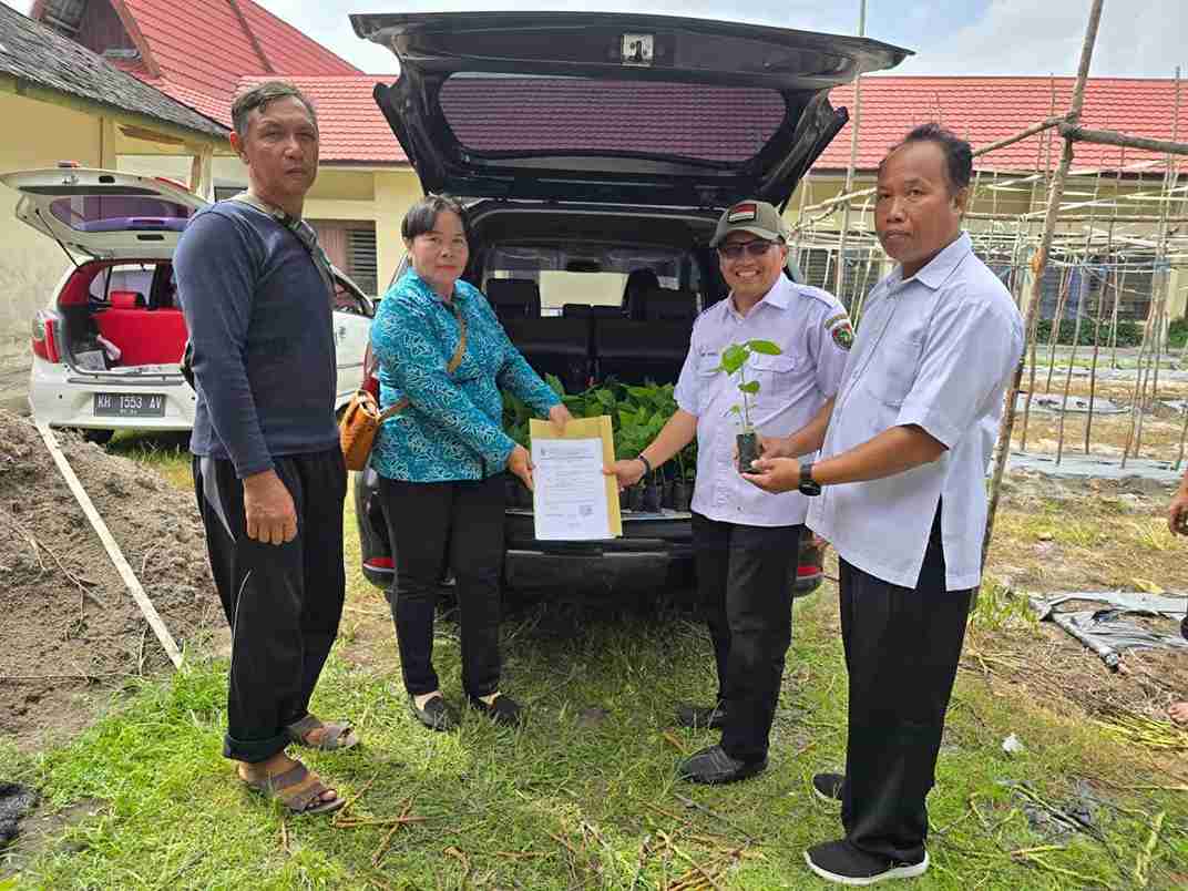 Dinas TPHP Prov. Kalteng Bagikan Bibit Cabai Gratis Bagi Masyarakat 