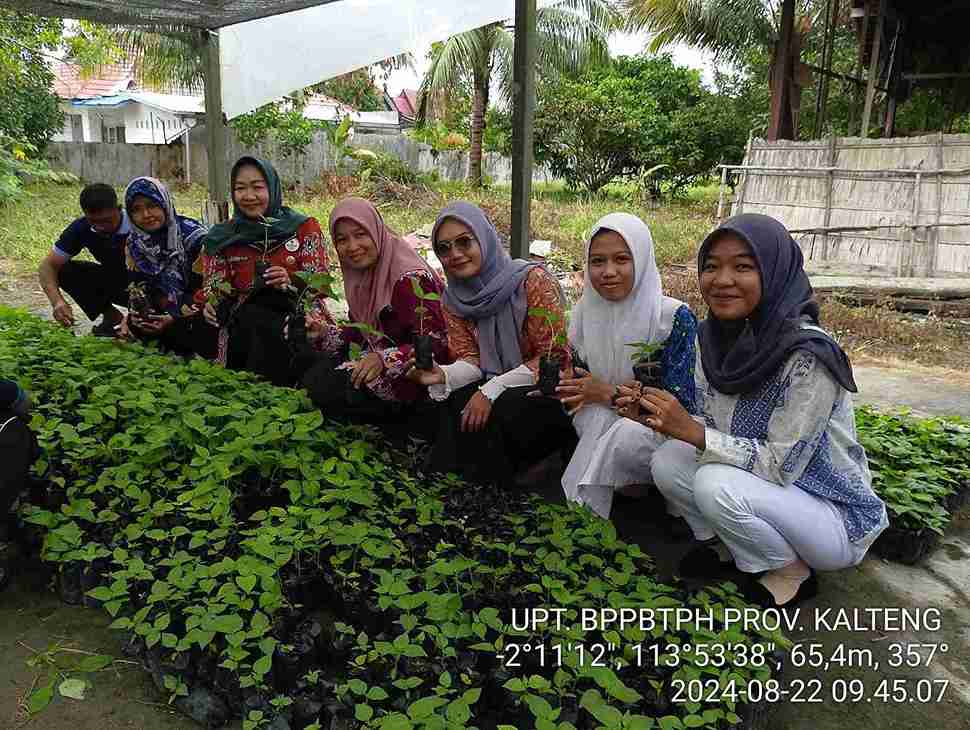Dinas TPHP Prov. Kalteng Bagikan Bibit Cabai Gratis Bagi Masyarakat 