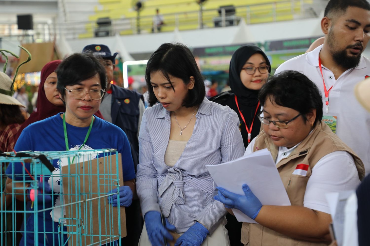 Kontes Kucing Meriahkan Jambore Tani 2024, Tingkatkan Edukasi Perawatan Hewan Peliharaan
