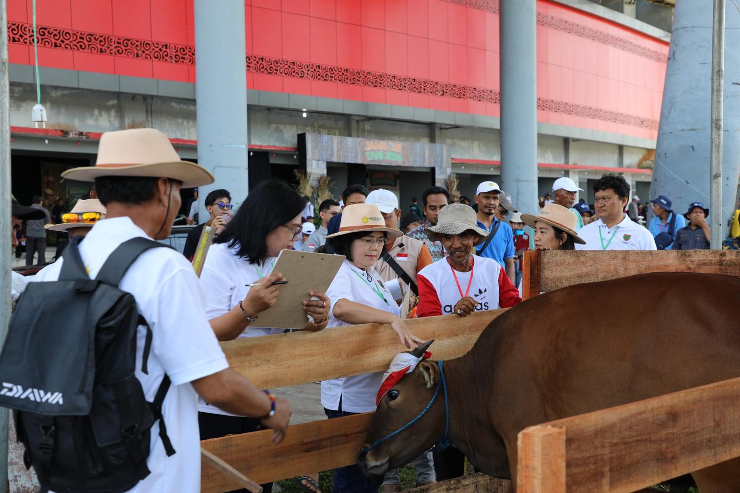 Dinas TPHP Prov. Kalteng Gelar Kontes Pedet Perdana di Jambore Tani 2024