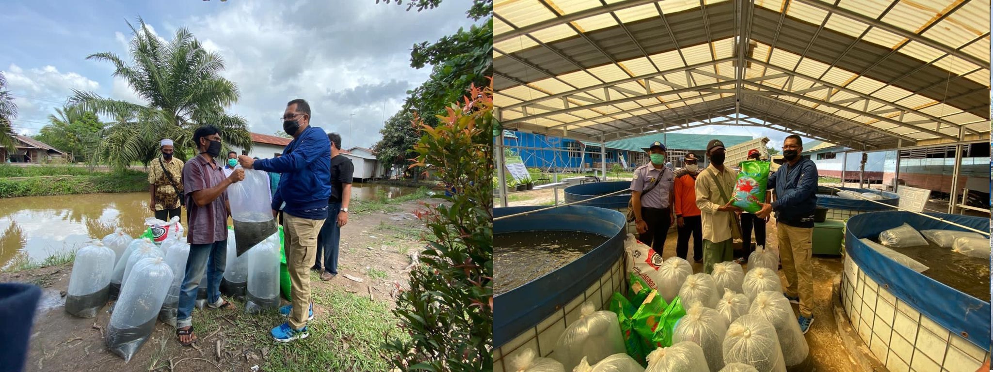 Peringati Hari Ikan Nasional Kalteng, Dinas Kelautan dan Perikanan Kalteng Berikan Bantuan Benih Ikan dan Pakan Ikan Kepada Kelompok Masyarakat