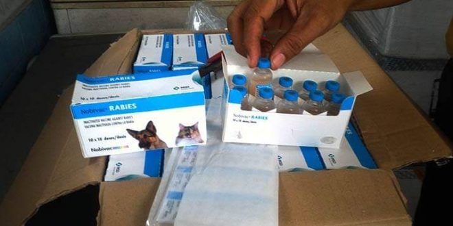 Dinas Pertanian dan Ketahanan Pangan Siapkan 6.000 Dosis Obat Untuk Atasi Kasus Rabies