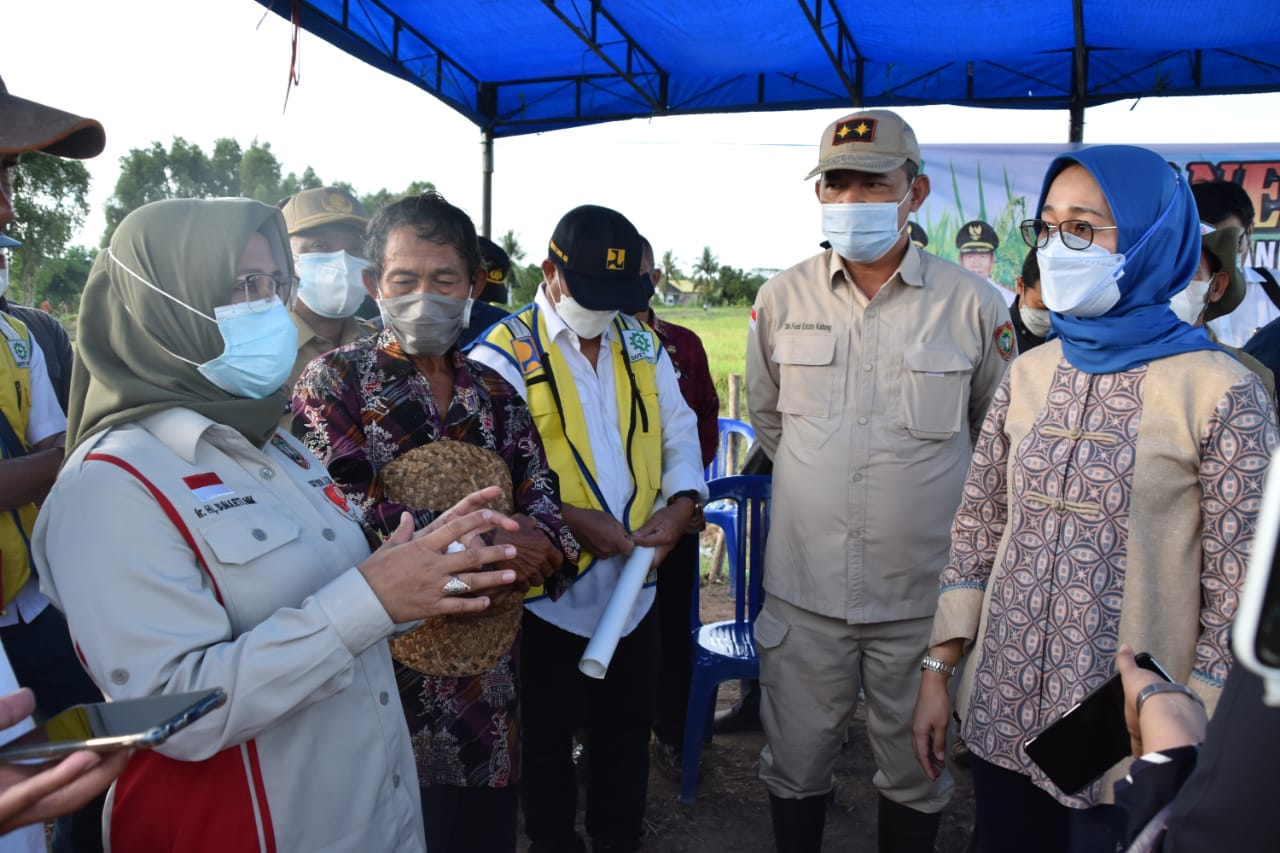 Sekda Kalteng Dampingi Komisi IV DPR RI Tinjau Lokasi Food Estate di Desa Petak Batuah A2, Kapuas