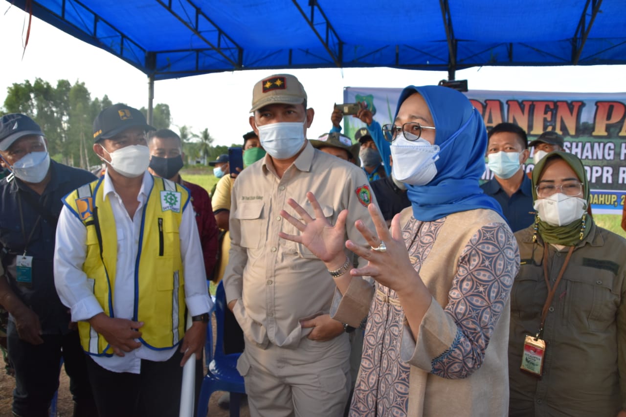 Wakil Ketua Komisi IV DPR RI : Food Estate di Kalteng Dapat Mensejahterakan Masyarakat