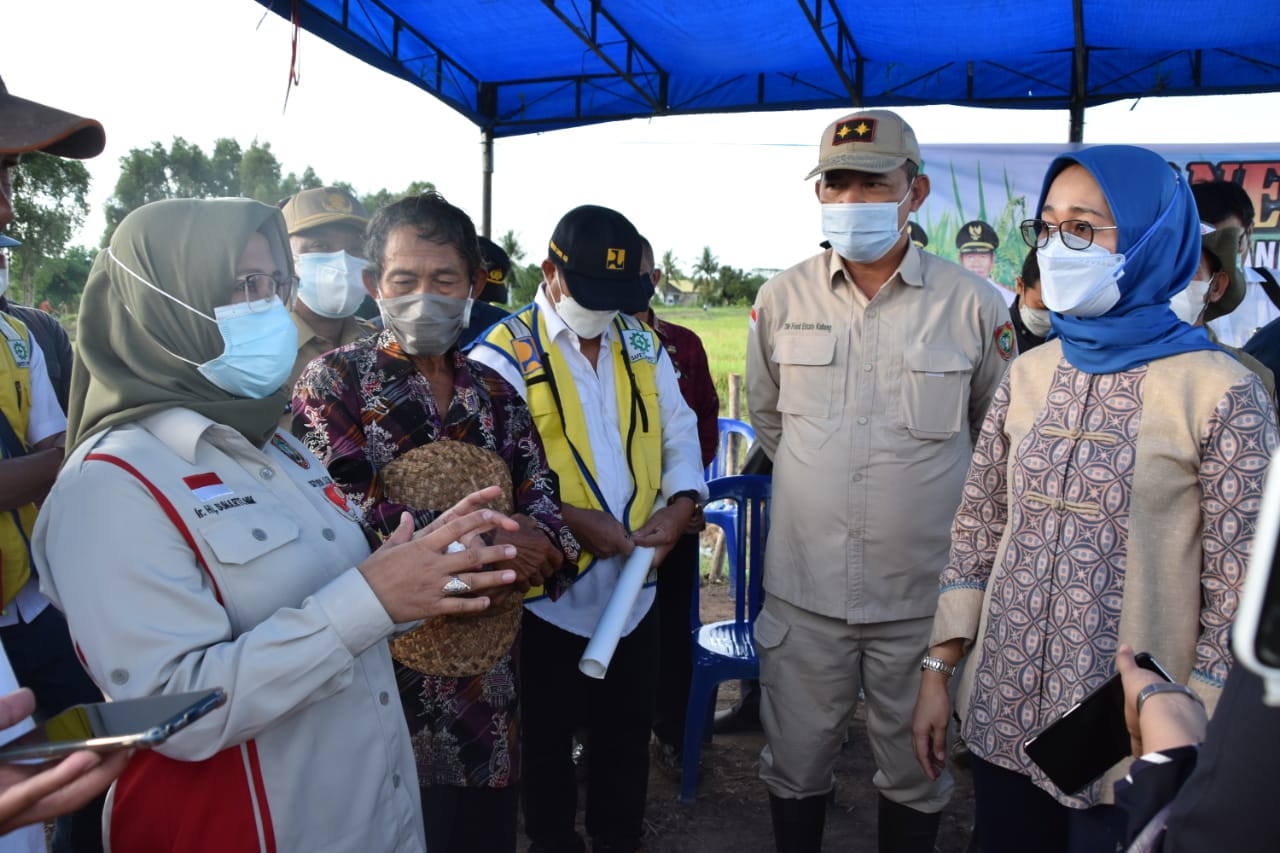 Komisi IV DPR RI Serap Aspirasi Masyarakat dan Petani di Desa Petak Batuah A2, Kabupaten Kapuas