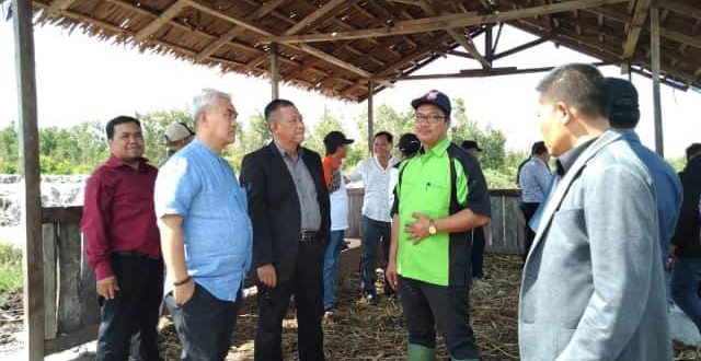 Pangeran Brunei Ingin Tangkarkan Kancil di Palangka Raya