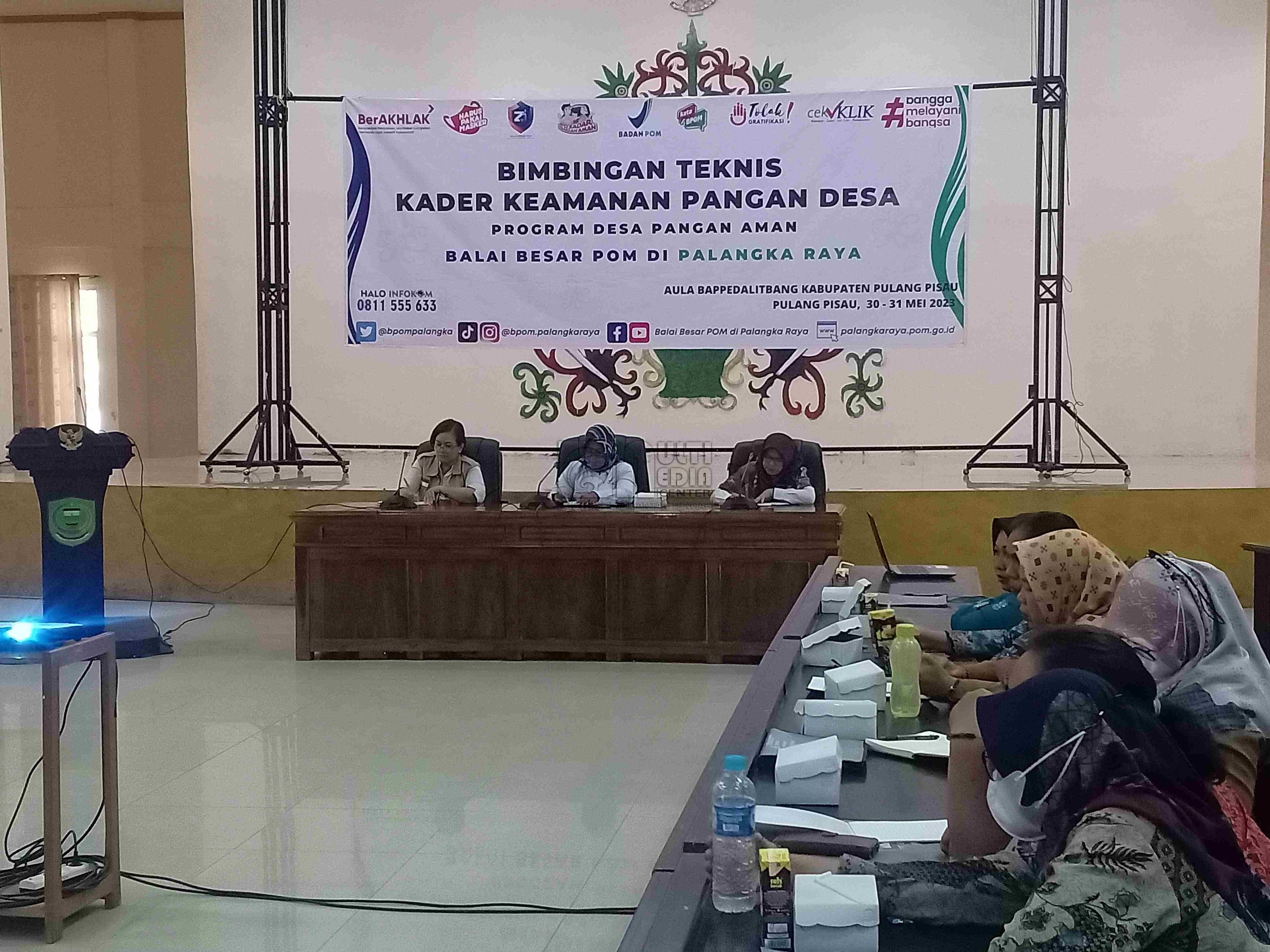 Balai Besar POM Palangka Raya Gelar Bimtek Kader Keamanan Pangan Desa di Kabupaten Pulang Pisau 