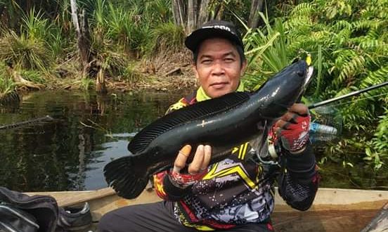 Obyek Wisata Air Hitam Tempat Pemancingan Di Kelurahan Pager