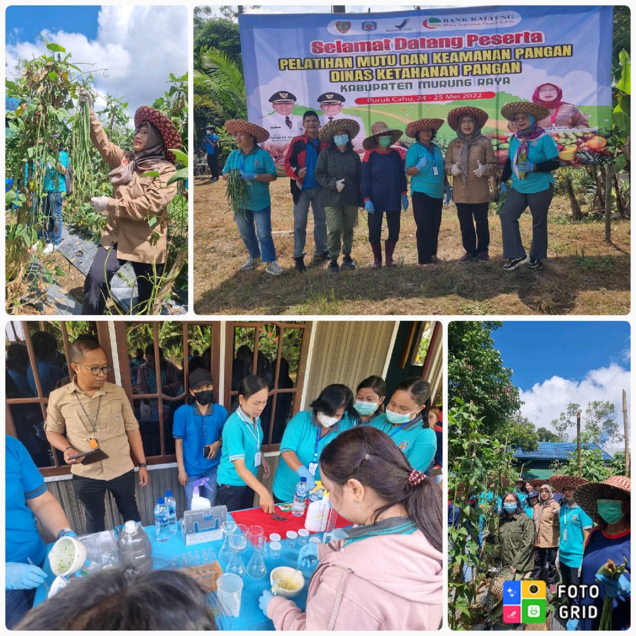 Dinas Ketahanan Pangan Prov. Kalteng bersama Dinas Ketahanan Pangan Kabupaten Murung Raya Adakan Pelatihan Mutu dan Keamanan Pangan