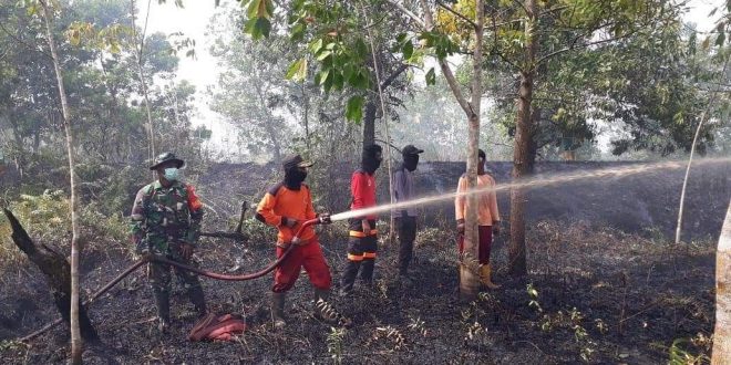 15 Titik Karhutla Terjadi Dalam Seminggu