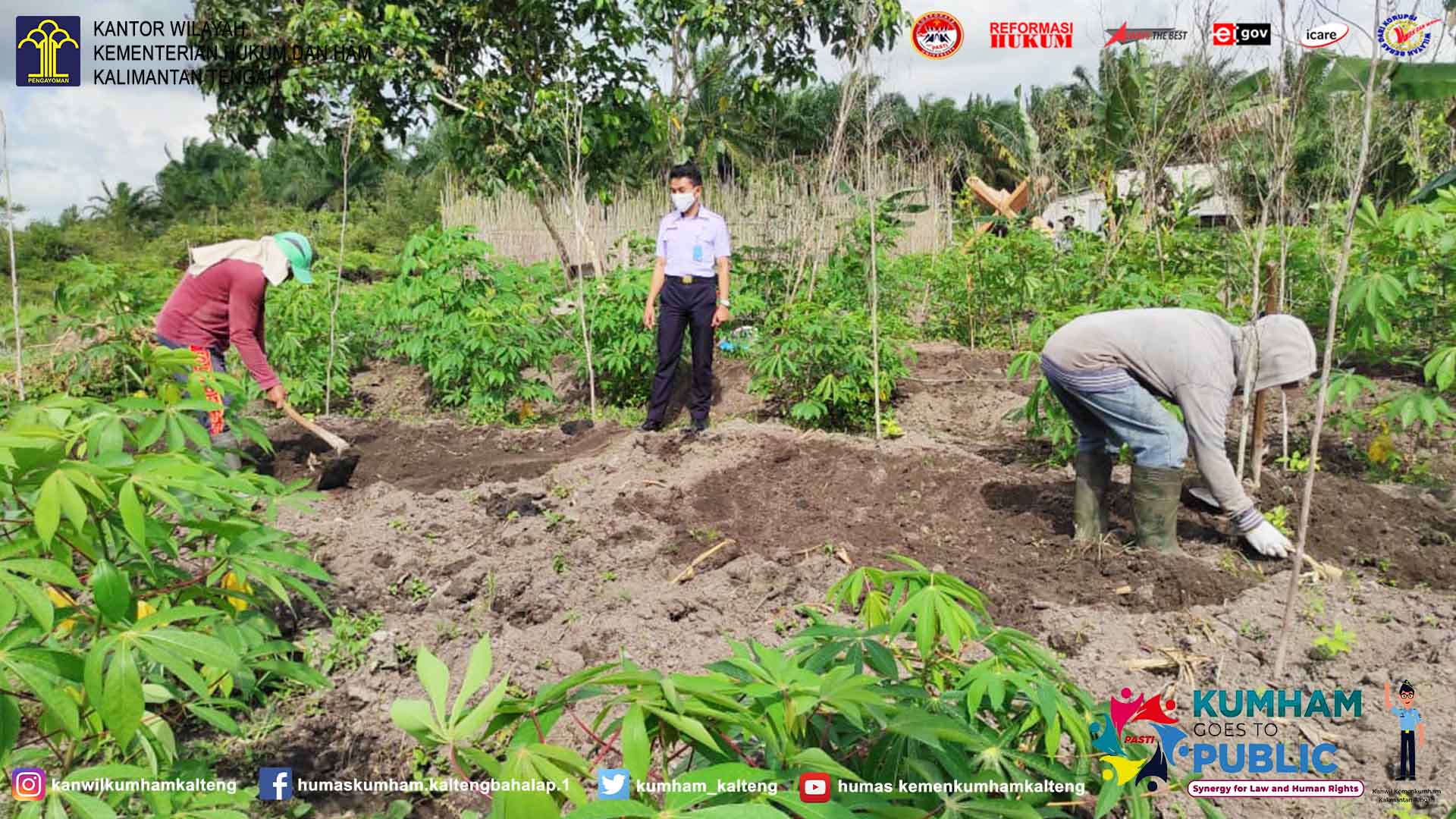 Terus Kembangkan Perkebunan, WBP Lapas Sukamara Tanam Kacang Panjang