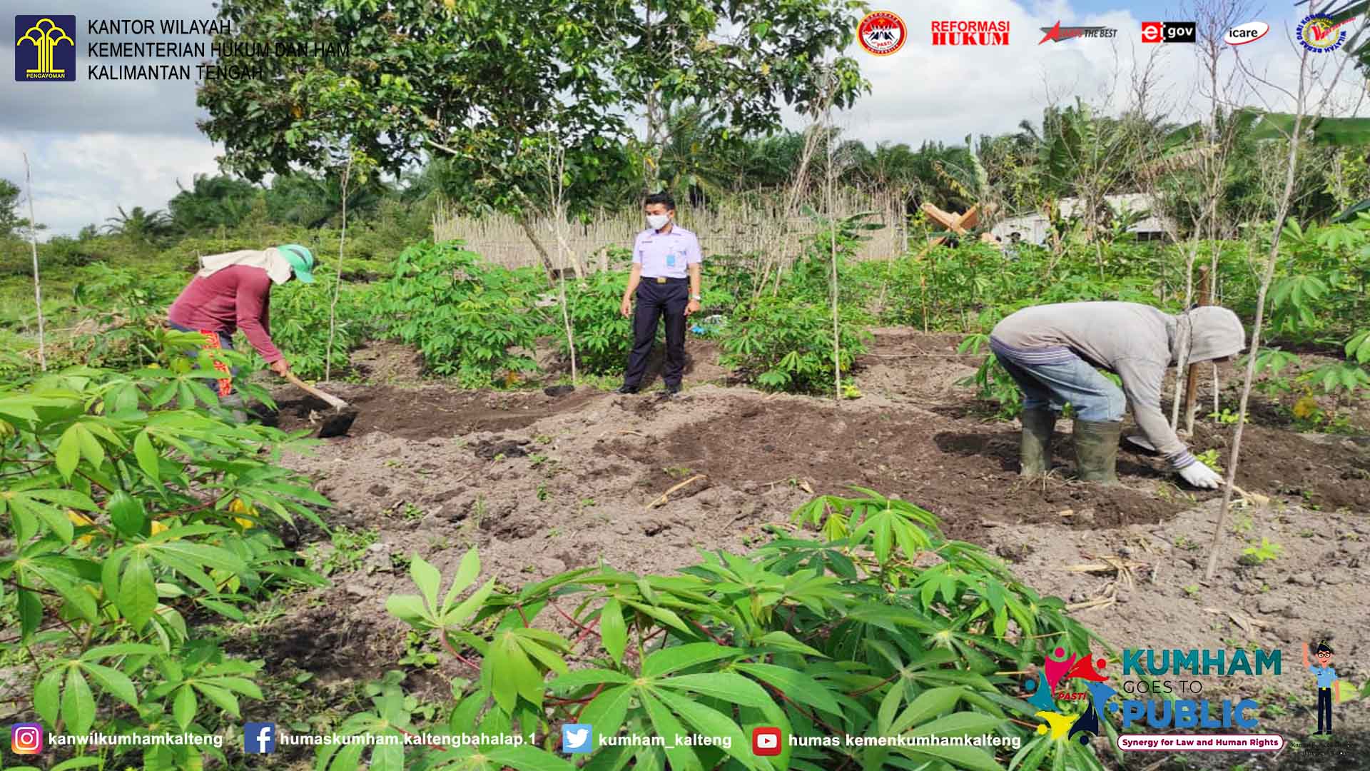 Terus Kembangkan Perkebunan, WBP Lapas Sukamara Tanam Kacang Panjang