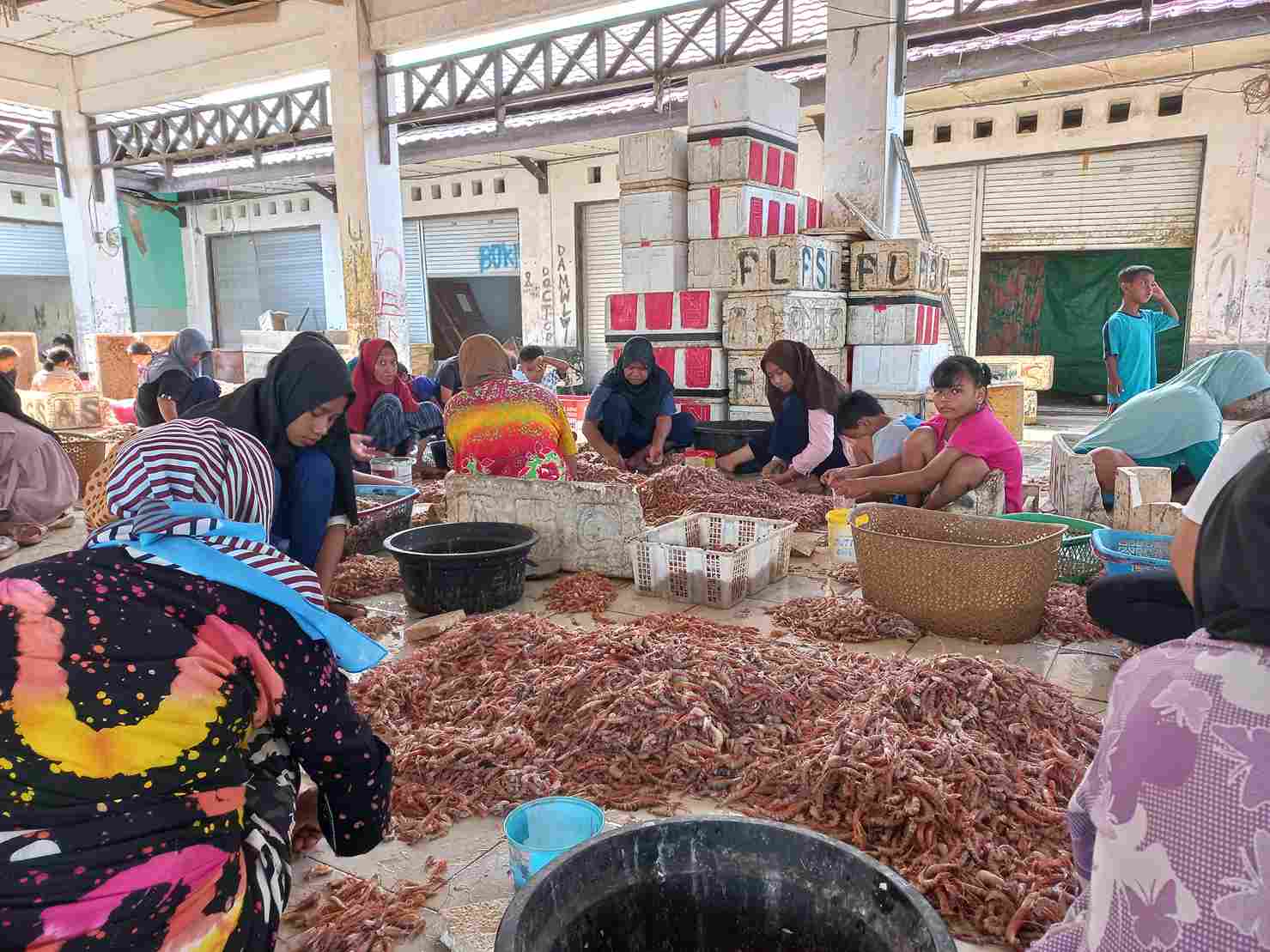 Kegiatan Pengupasan Kulit dan Kepala Udang di Pelabuhan Perikanan Kuala Pembuang