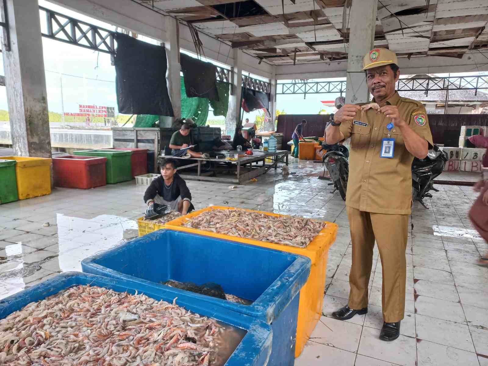 Kegiatan Pengupasan Kulit dan Kepala Udang di Pelabuhan Perikanan Kuala Pembuang