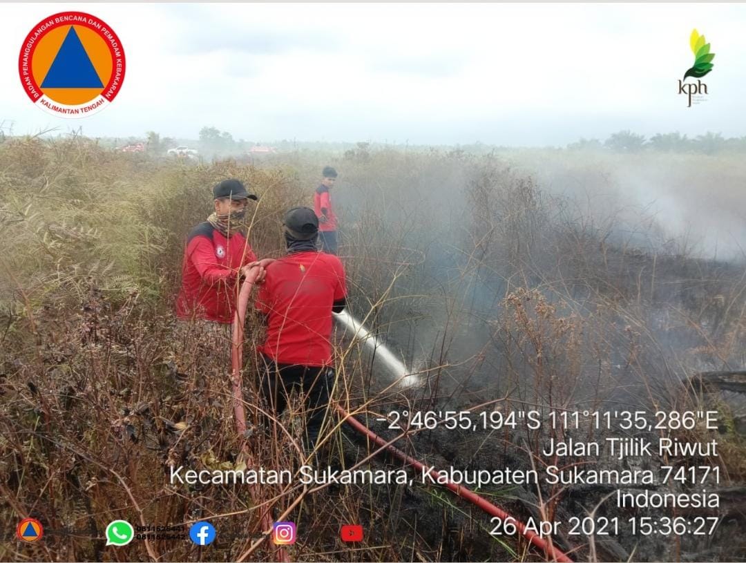 Tim Karhutla Kabupaten dan Kota Lakukan Penanganan Karhutla