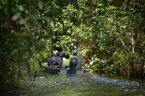 Taman Nasional Sebangau