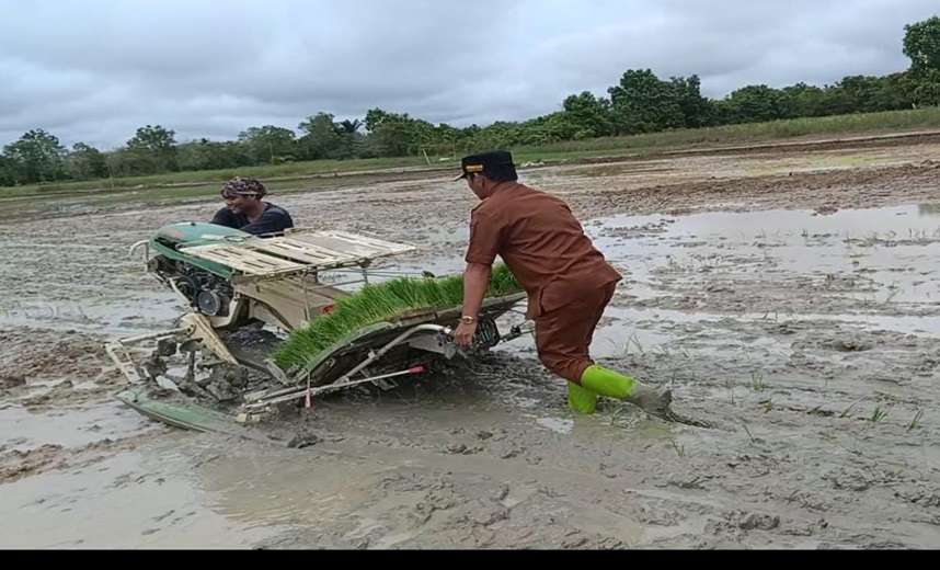 Wabup Barsel Serahkan Alsintan dan Benih Padi Kepada Gapoktan