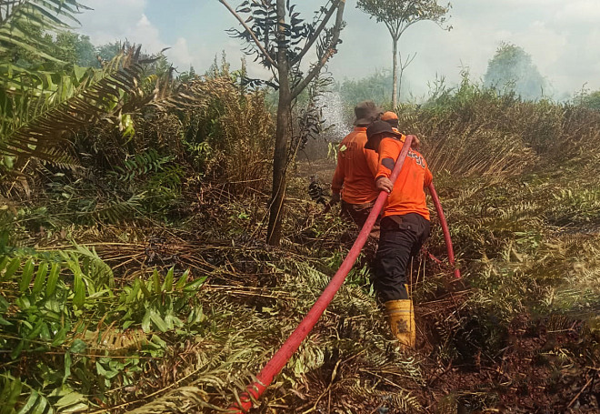 Dua Puluh Hektar Lahan Terbakar di Kelurahan Mendawai