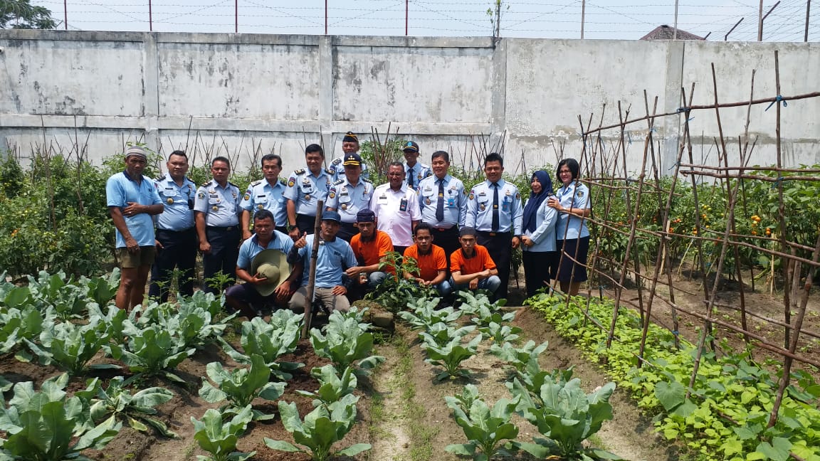 KADIV PEMASYARAKATAN UNTUK LAKSANAKAN PANEN TOMAT DAN TERONG DI LAPAS PALANGKA RAYA