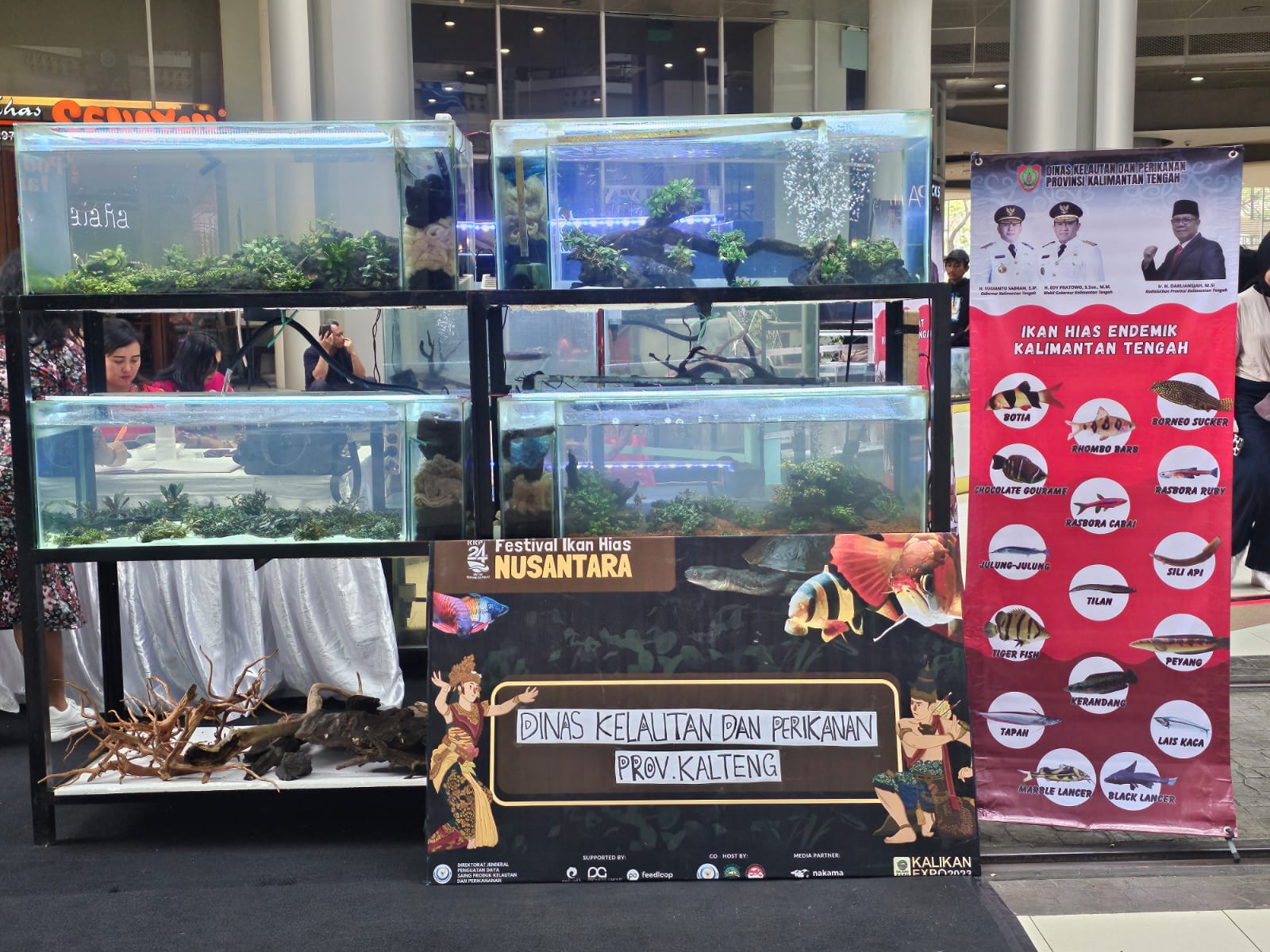 Dislutkan Prov. Kalteng Ikuti Festival Ikan Hias Nusantara Tahun 2023