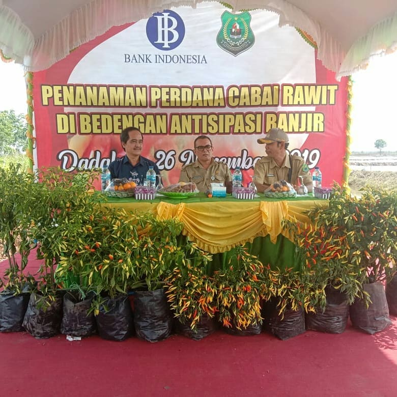 Pemkab Apresiasi Budidaya Cabe Rawit