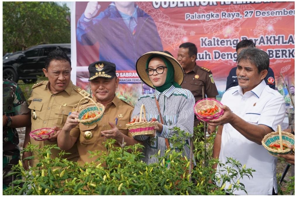 Panen Perdana Bawang Merah dan Cabai, Gubernur Sugianto Sabran : Kita Harus Bersinergi Membangun Ketahanan Pangan di Kalteng