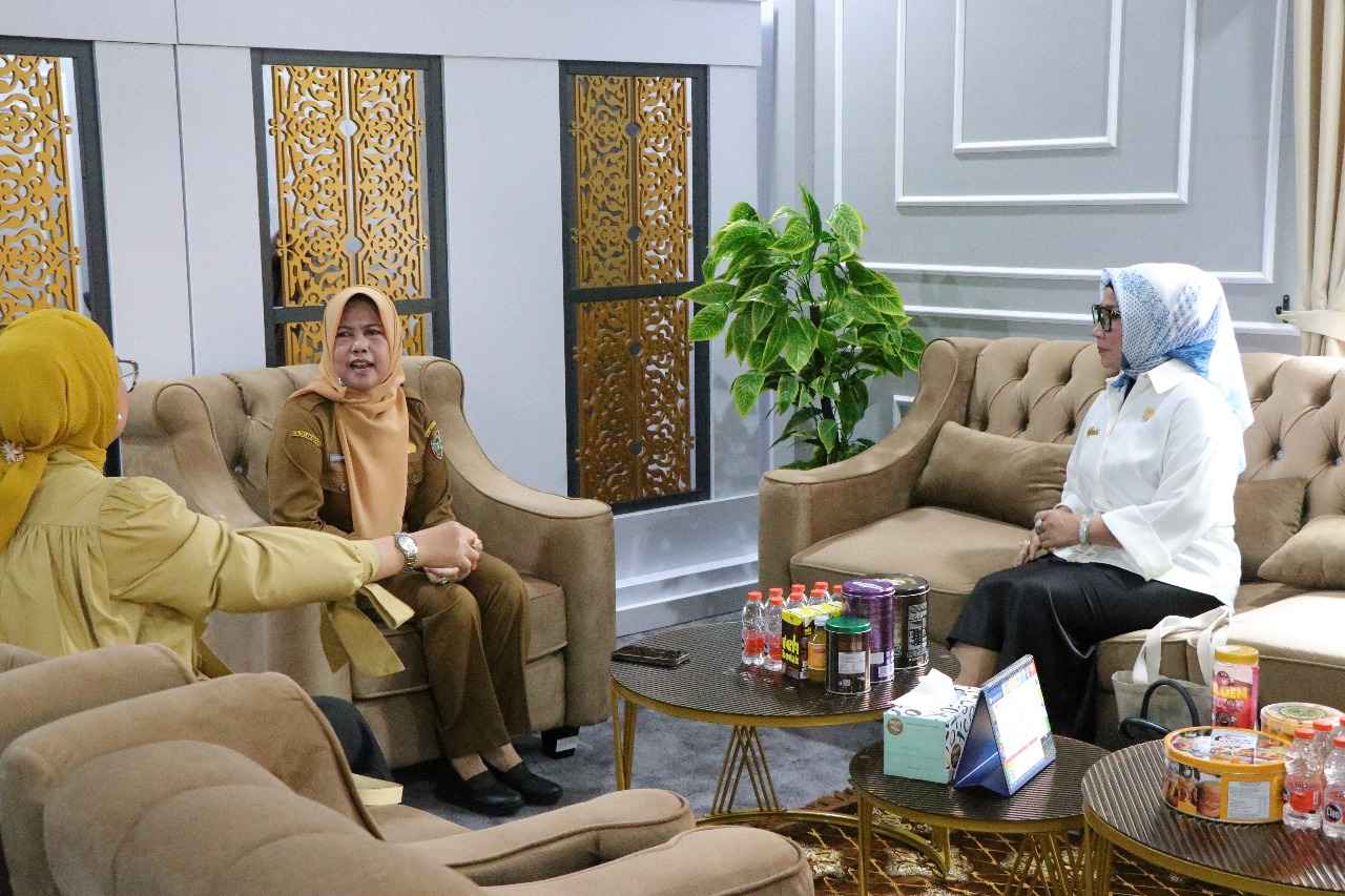 Kepala BKD Prov. Kalteng Terima Kunjungan DPRD Barito Utara, Bahas Strategi Kebijakan Tenaga Non ASN