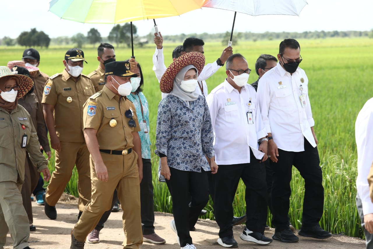 Gubernur Kalteng Tinjau Infrastruktur Jalan di Desa Belanti Siam Kabupaten Pulang Pisau